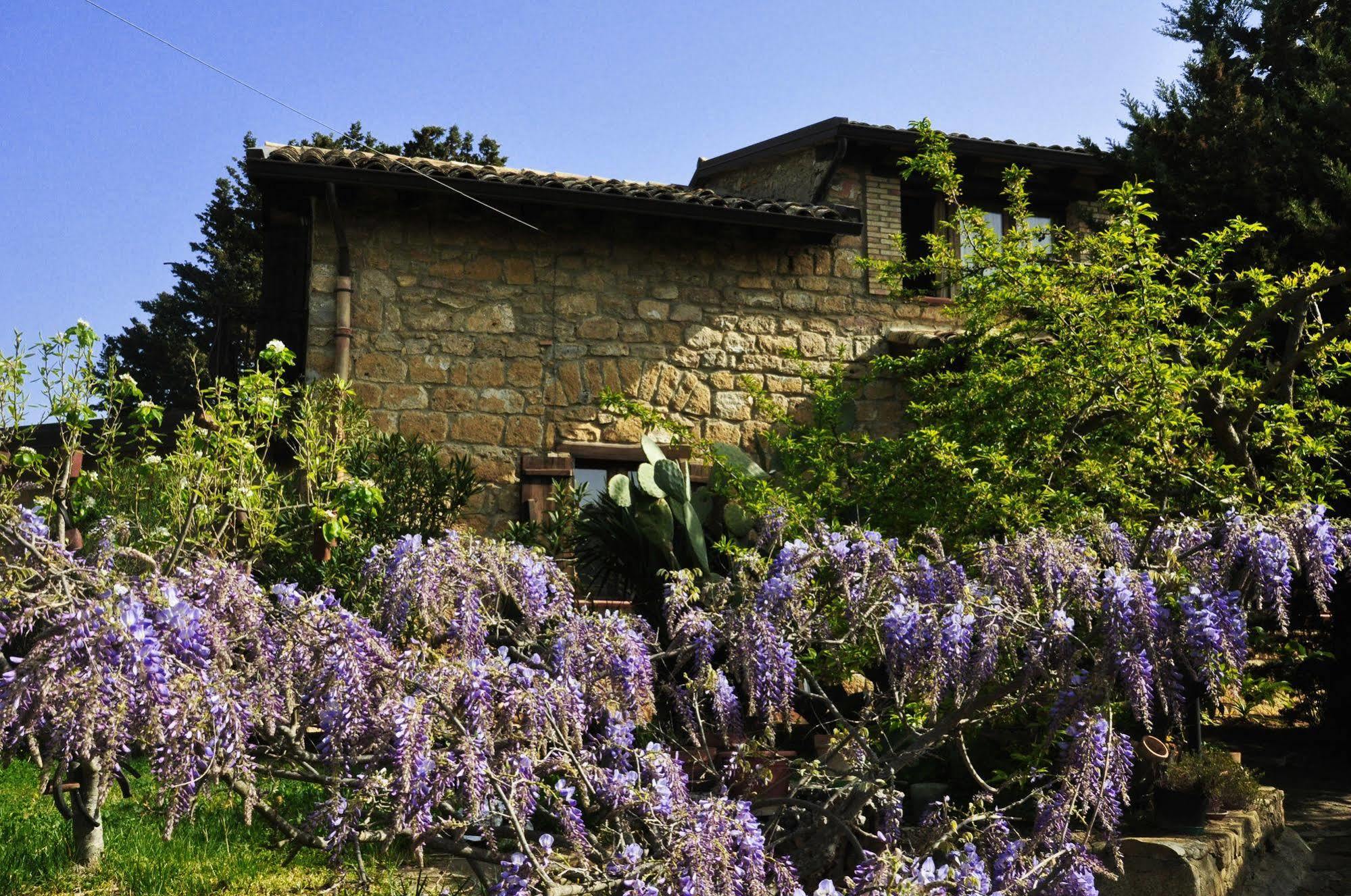 לינה וארוחת בוקר פיאצה ארמרינה La Casa Sulla Collina D'Oro מראה חיצוני תמונה